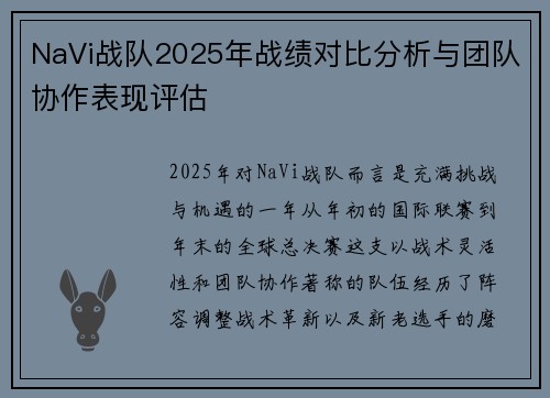 NaVi战队2025年战绩对比分析与团队协作表现评估