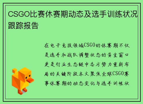 CSGO比赛休赛期动态及选手训练状况跟踪报告